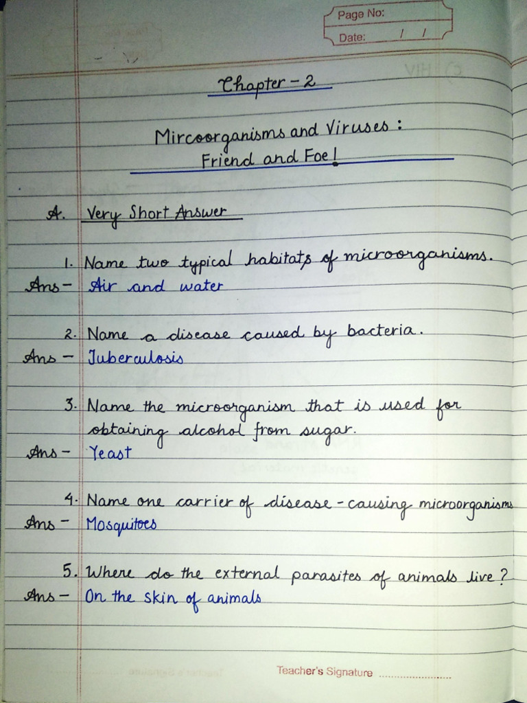 Microorganisms and Viruses | PDF