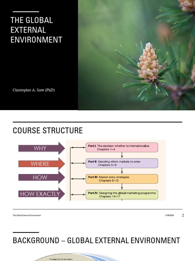 Session+3+ +External+Environment+Analysis | PDF | Market (Economics ...