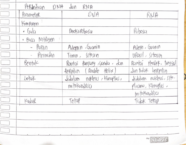 Perbedaan Dna Dan Rna Pdf
