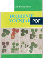 Borivoje Pejkic-Djubrenje Vocnjaka