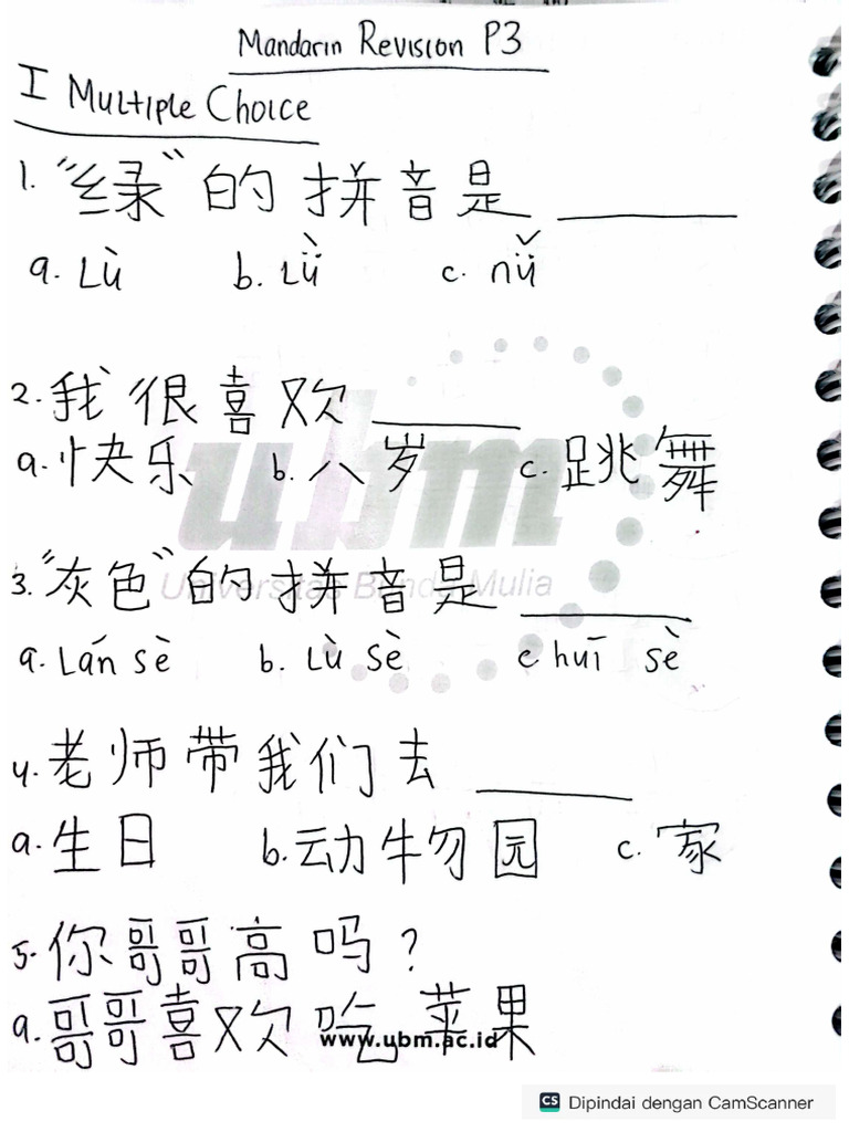 mandarin-revision-p3-pdf