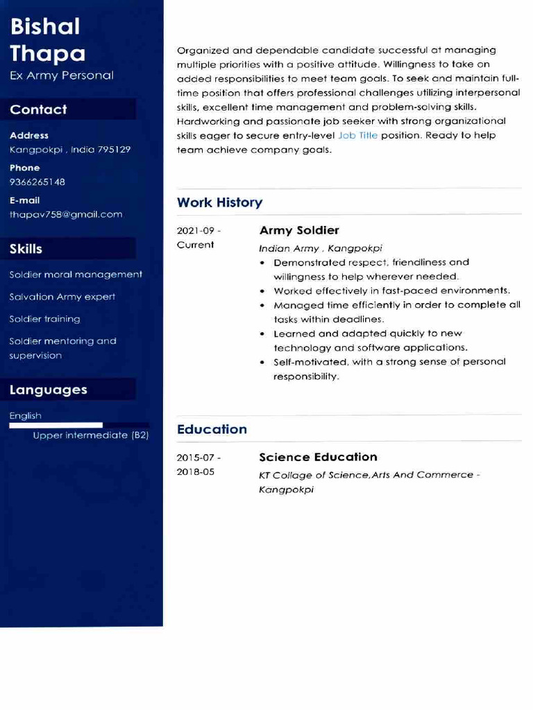 My CV | PDF
