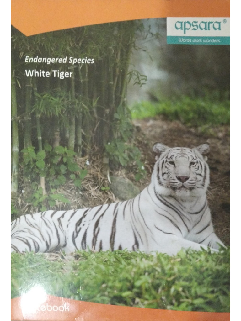 Tiger PDF | PDF