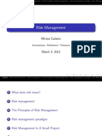 Risk Management: Mircea Cadariu