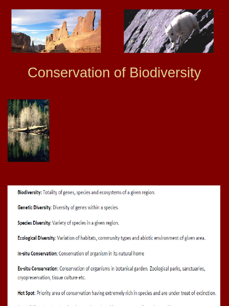 Strategies for Biodiversity Conservation | PDF | Conservation Biology ...
