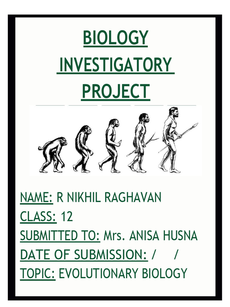 Human Evolution and Adaptations | PDF | Homo | Human Evolution