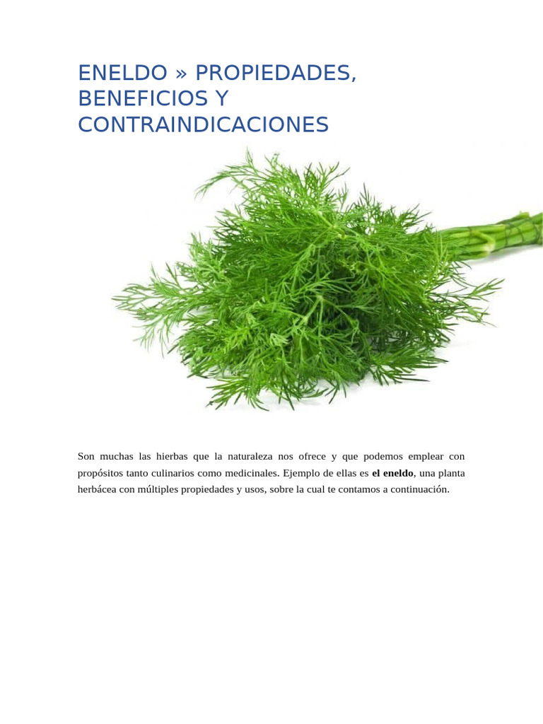 Propiedades y beneficios del eneldo | PDF | eneldo