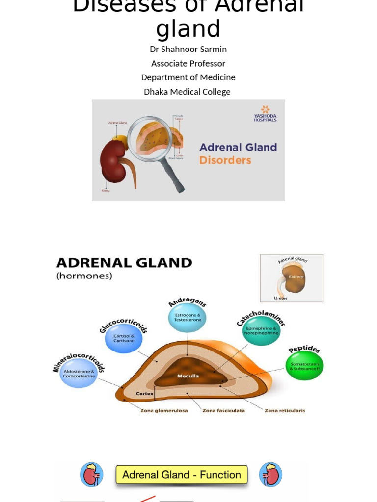 Diseases of Adrenal Gland | PDF | Adrenal Gland | Diseases And Disorders