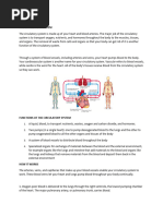 Overview of the Circulatory System | PDF | Blood Vessel | Heart