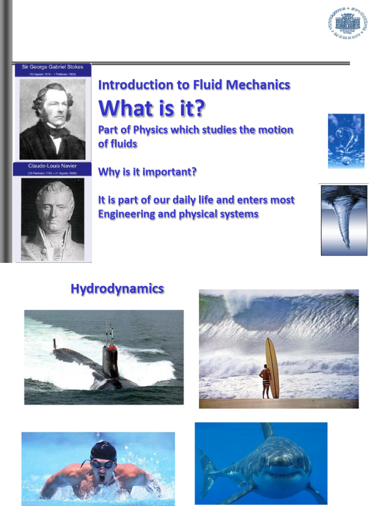 0-Introduction | PDF | Fluid Dynamics | Turbulence