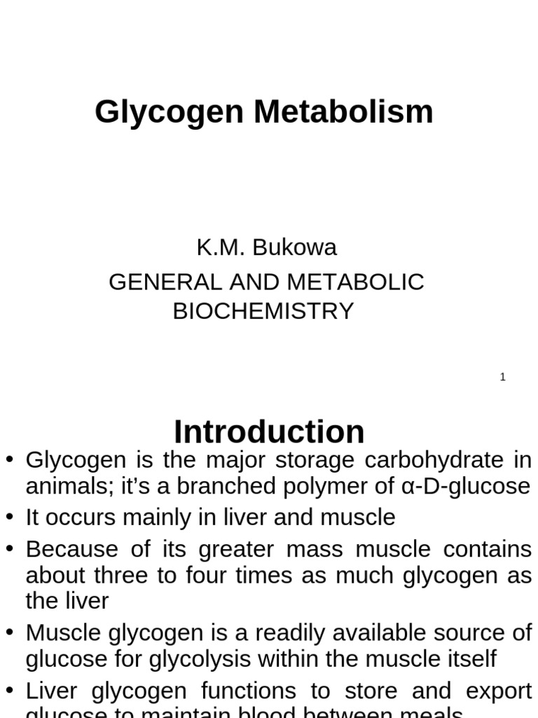 Glycogen Metabolism Pathways Explained | PDF | Glycogen | Glucose