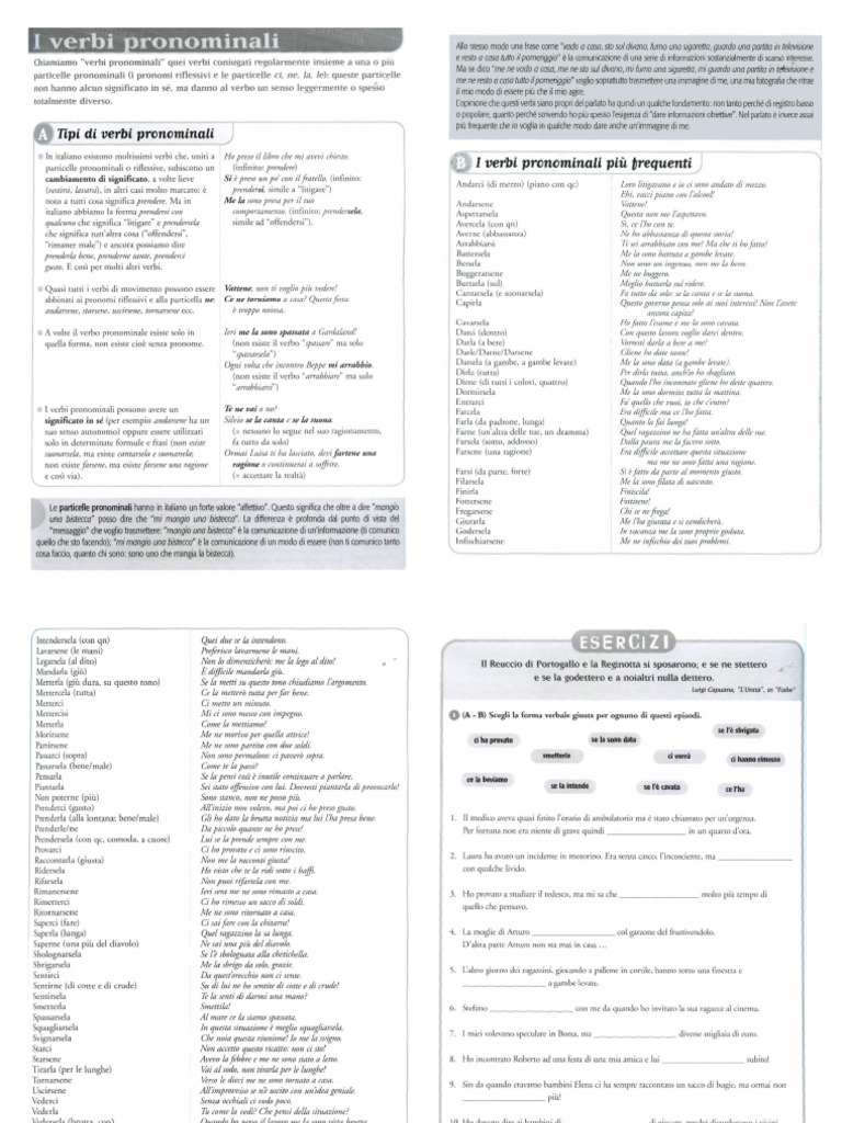 I Verbi Pronominali | PDF