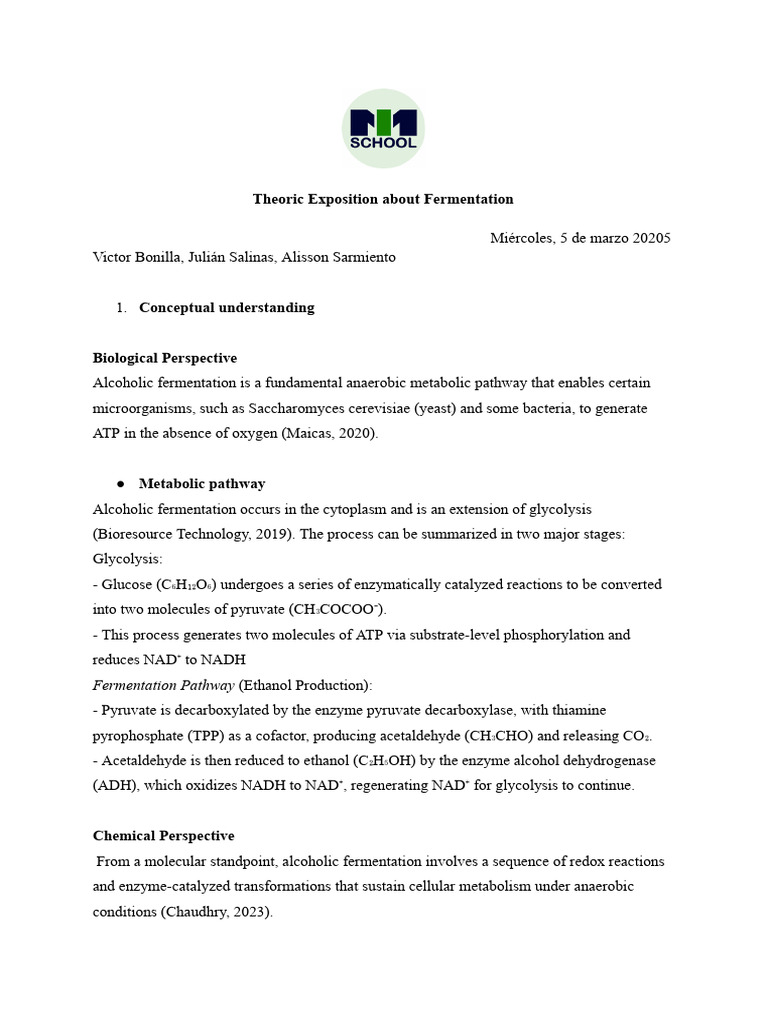 Understanding Alcoholic Fermentation | PDF | Pyruvic Acid | Fermentation