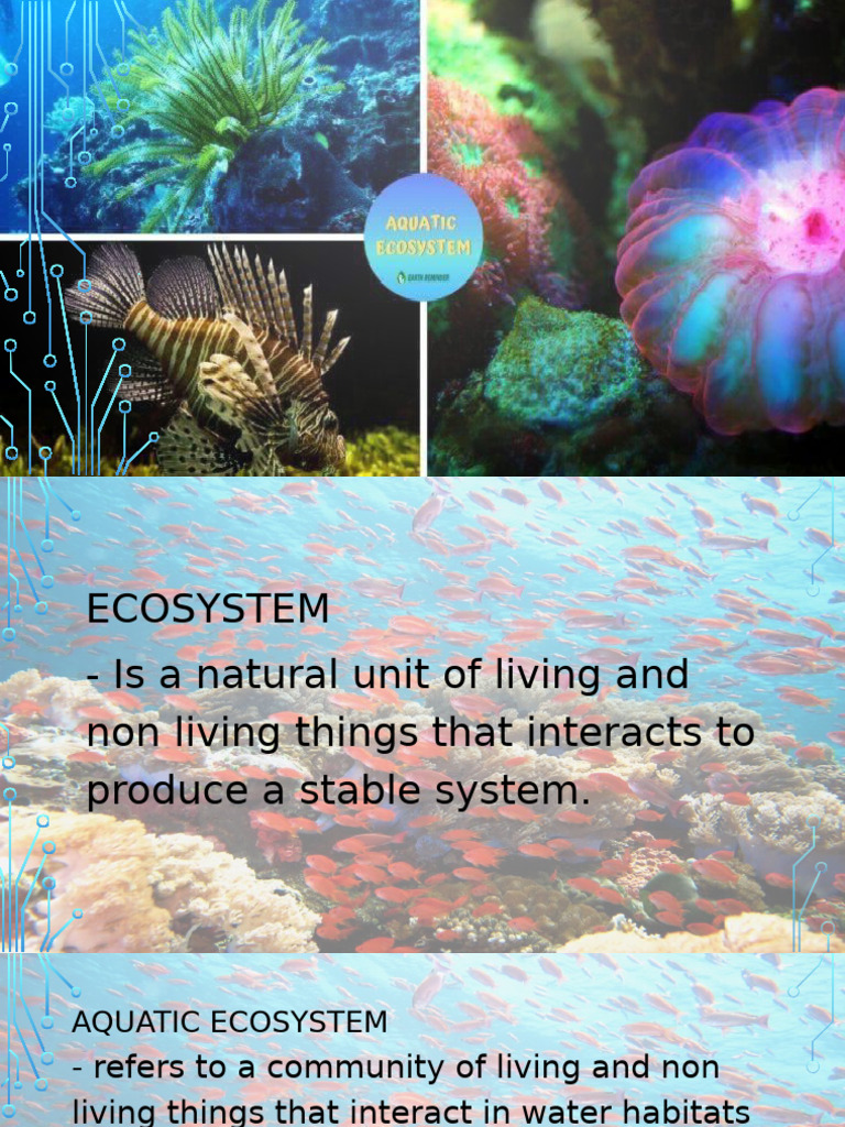 Overview of Aquatic Ecosystems | PDF | Aquatic Ecosystem | Sea