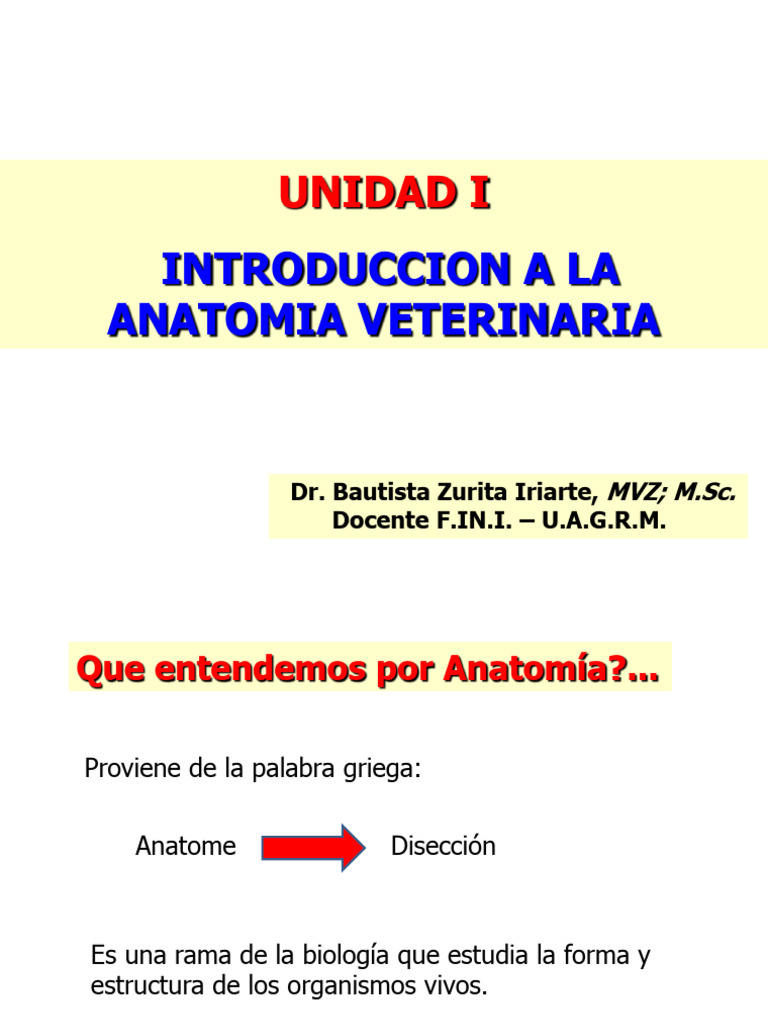 I Introduccion A La Anatomia Veterinaria 1 Pdf Términos Anatómicos