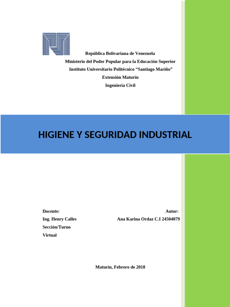 Higiene y Seguridad Industrial en el Trabajo | PDF | Seguridad y salud ...