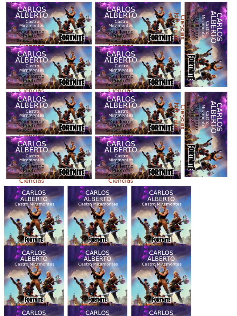 FORTNITE | PDF