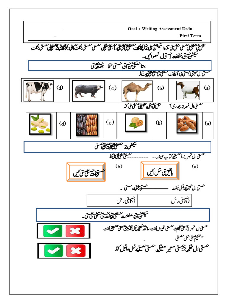 Urdu G1 Paper | PDF