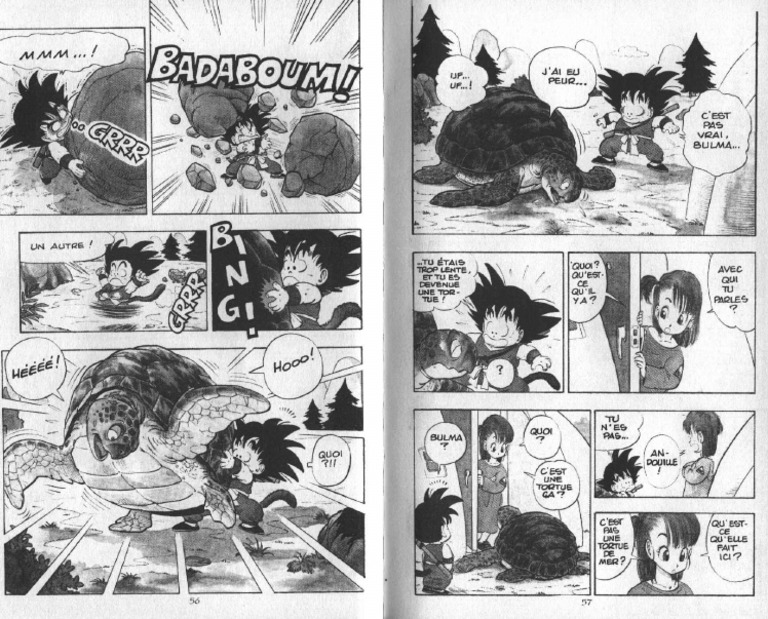 Dragon Ball - Tome 01 (Akira Toriyama) (Z-Library) - 29 | PDF