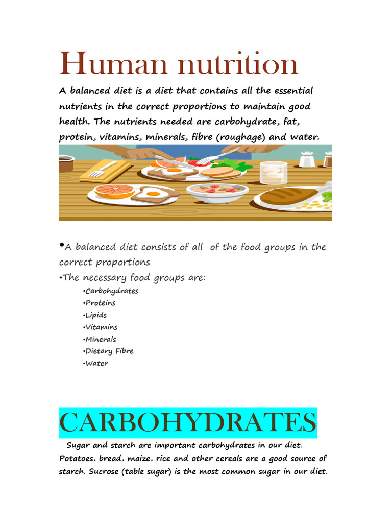 Essentials of Human Nutrition and Digestion | PDF | Digestion ...
