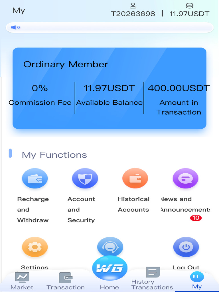 Member Account Overview and Transactions | PDF