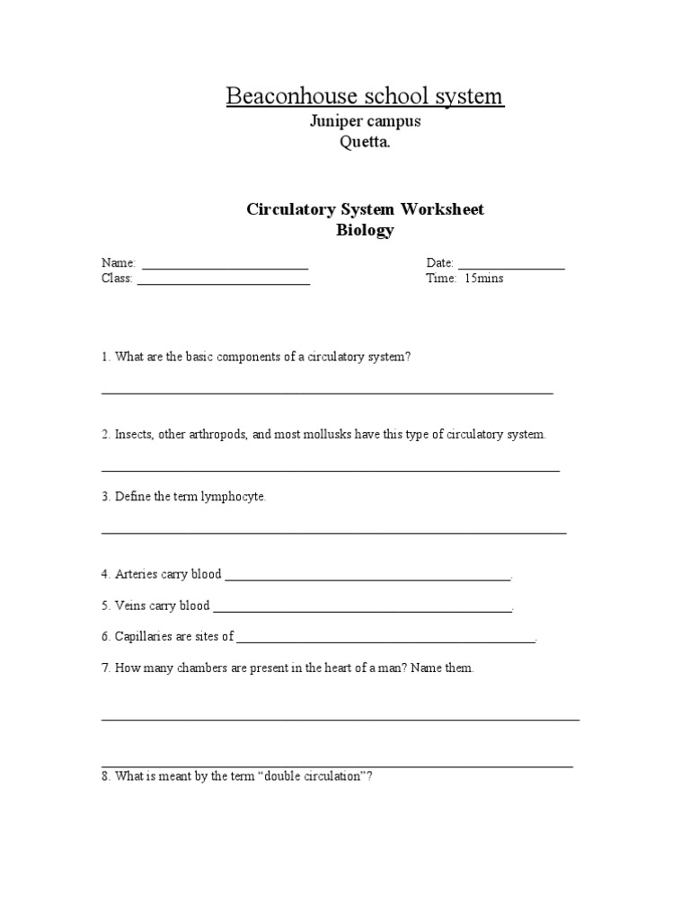 Circulatory System Worksheet  Circulatory System  Blood Regarding Circulatory System Worksheet Pdf