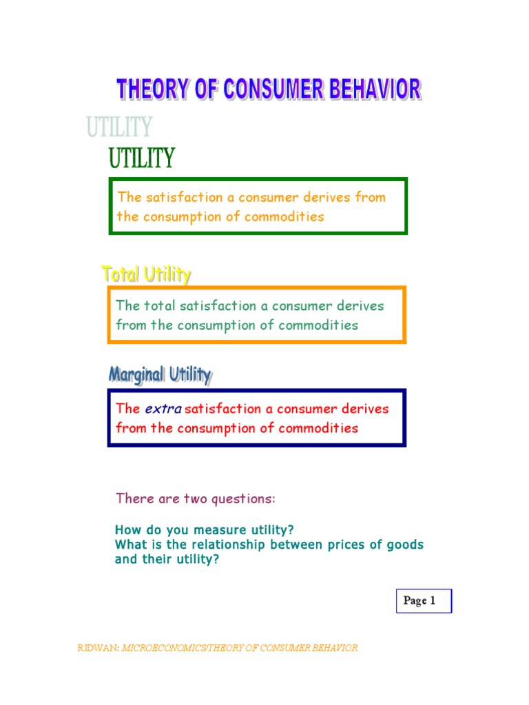 Consumer Behavior and Utility Theory | PDF