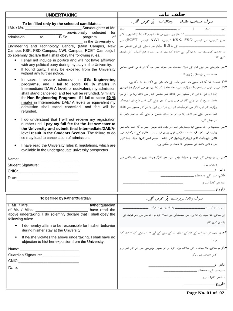 Undertaking | PDF