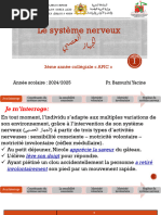 Définition de l'influx nerveux | PDF | Neurone | Système nerveux