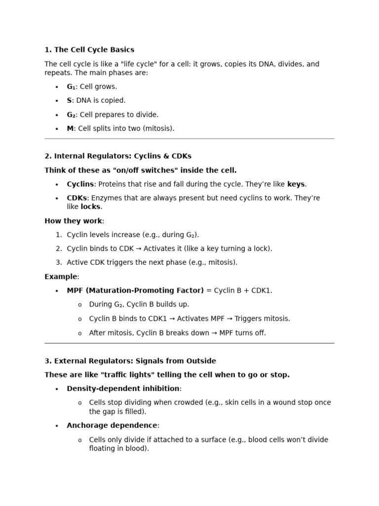 Regulation of The Cell Cycle | PDF | Cell Cycle | Biology