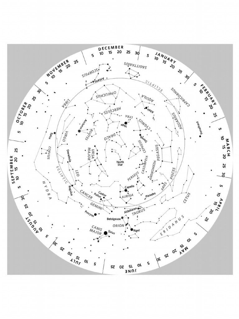 Starwheel Disk | PDF