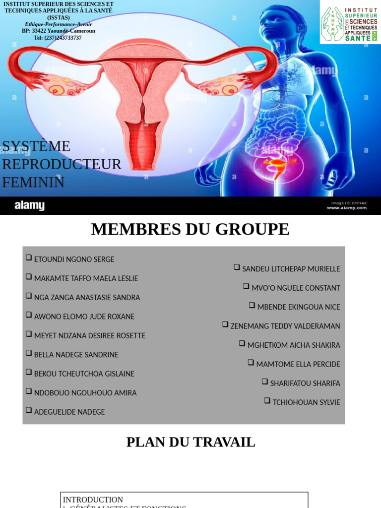 Système reproducteur féminin expliqué | PDF | Cycle menstruel | Système ...