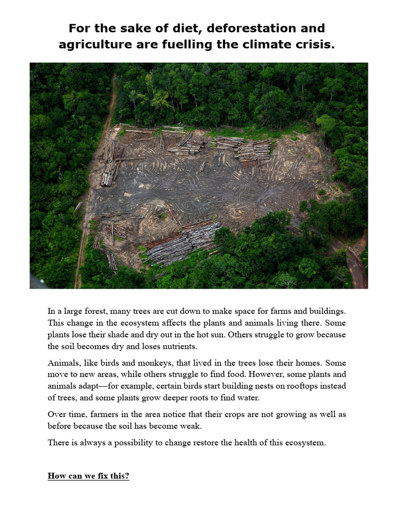 Action Plan Case Study Pdf Agriculture Deforestation