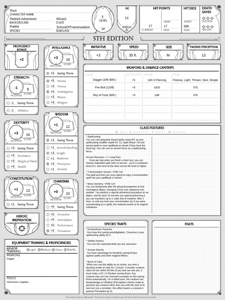 Runi: Retired Wizard Rabbit Character | PDF