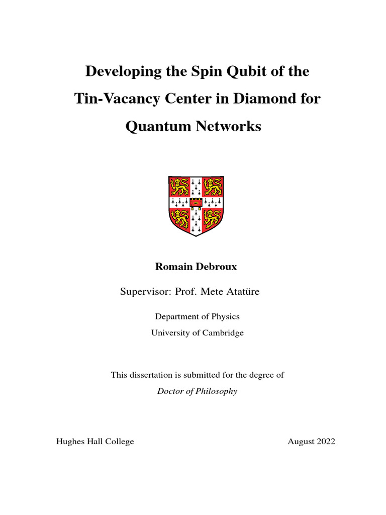 Spin Qubit Development in Diamond | PDF | Wave Function | Quantum ...