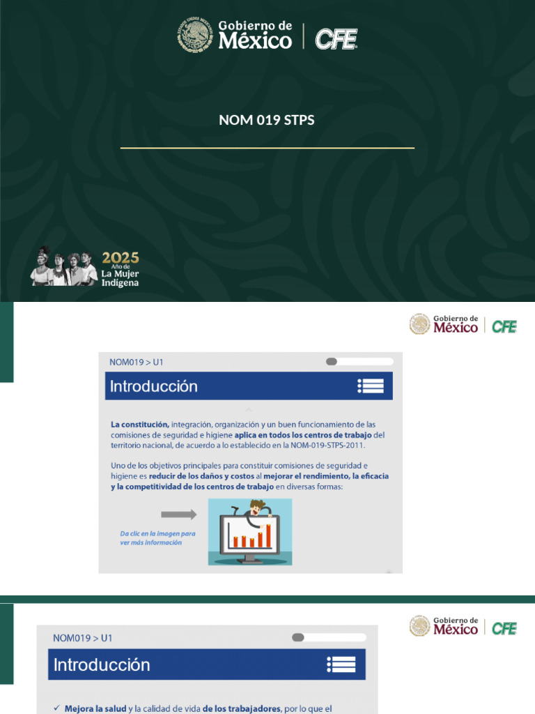 Presentacion Nom 019 v2 | PDF