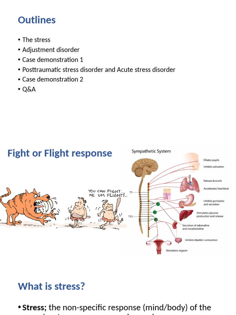 Understanding Stress and Adjustment Disorders | PDF | Psychological ...