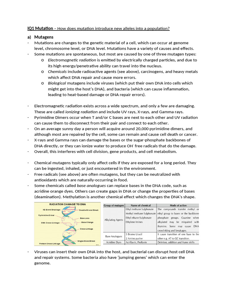 2020 BIO Module 6 Genetic Change Summary Notes Jessica | PDF | Mutation ...