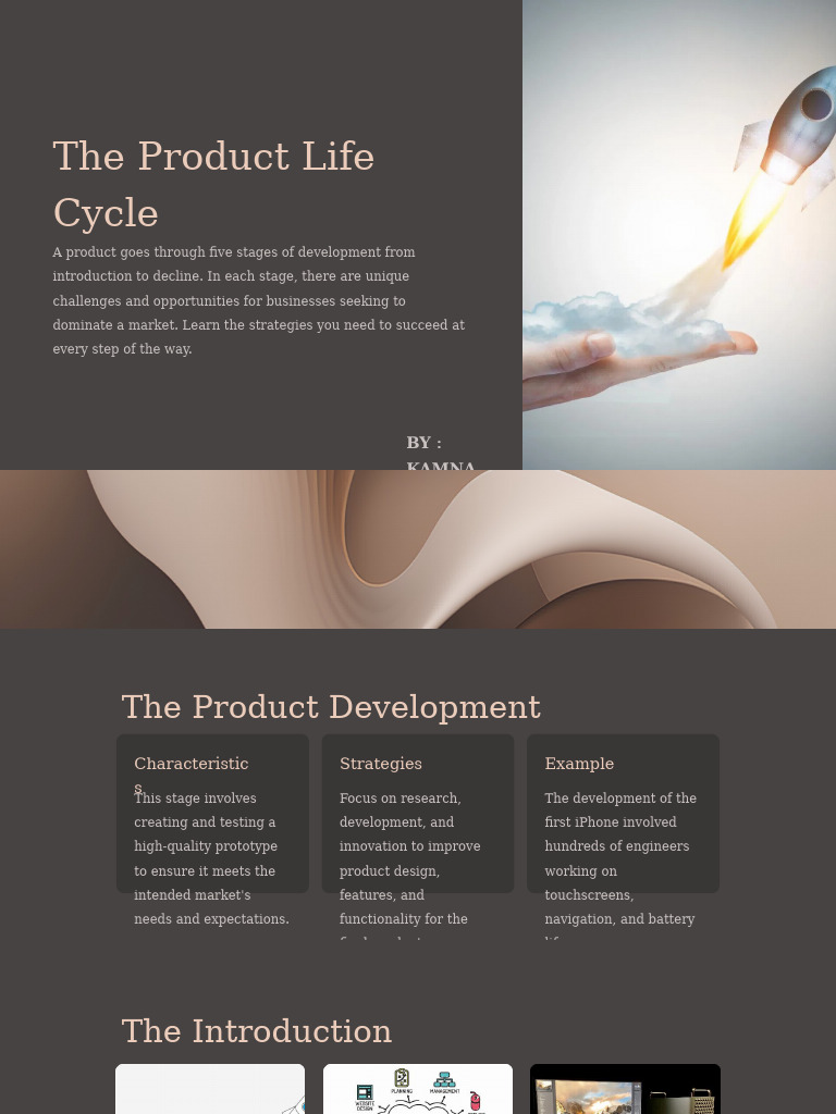 Mastering the Product Life Cycle | PDF | Pricing | Private Sector