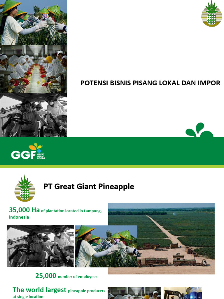 GGF Presentation Webinar_v3 - HJ | PDF | Tropical Fruit | Fruit