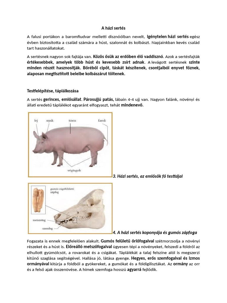 A Házi Sertés | PDF