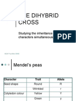 The Dihybrid Cross: Studying The Inheritance of Two Characters Simultaneously