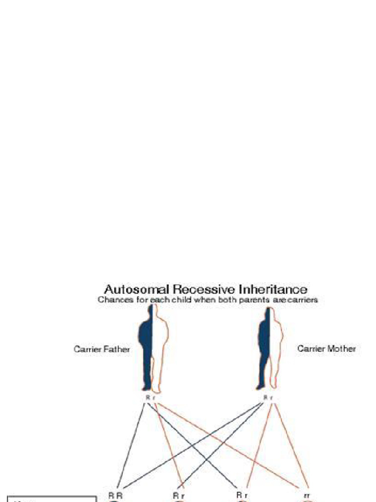 PKU AB 2022 Students+ | PDF | Phenylalanine | Nutrients