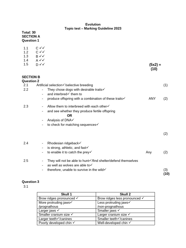 Evolution Marking Guidelines 2023 | PDF | Skull