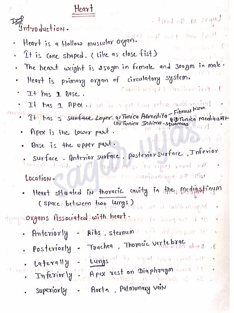 Anatomy visual data 7