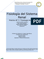 Sistema Renal