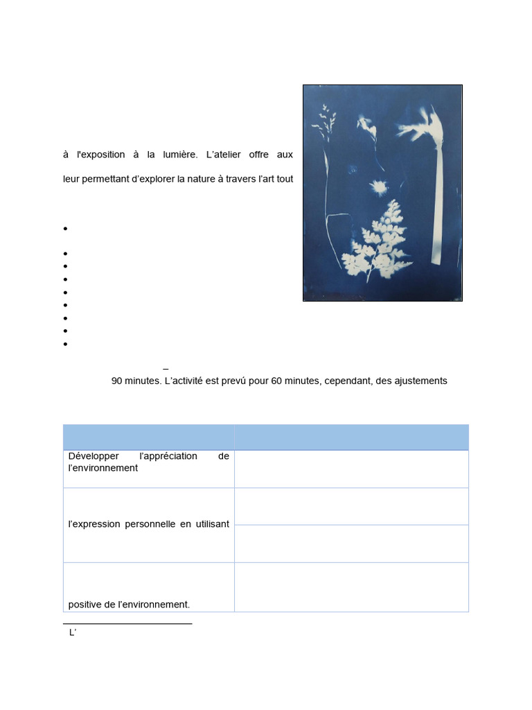 Atelier de création de cyanotypes artistiques | PDF | Lumière | Papier