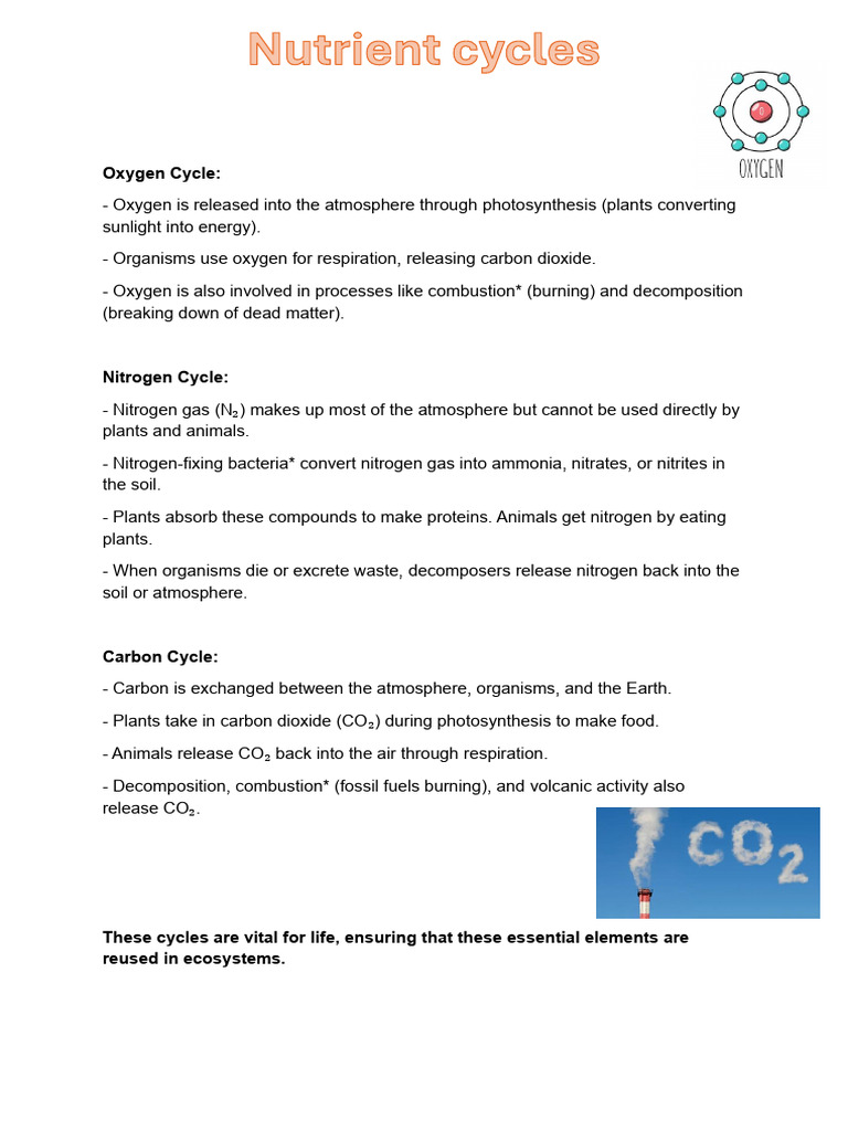 Nutrient Cycles | PDF