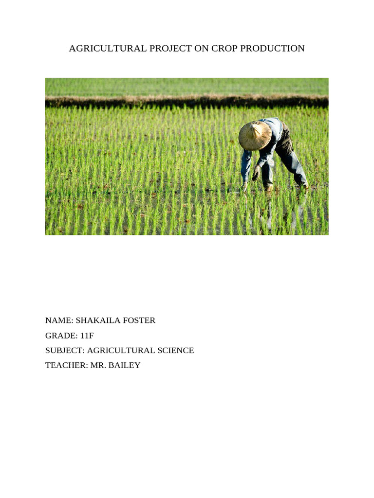 Lettuce Cultivation Guide for Farmers | PDF | Lettuce | Fertilizer