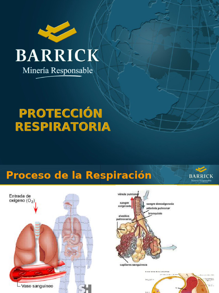 Guía de Protección Respiratoria | PDF | Sistema respiratorio